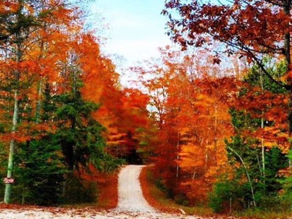 Fall: Fun for everyone!