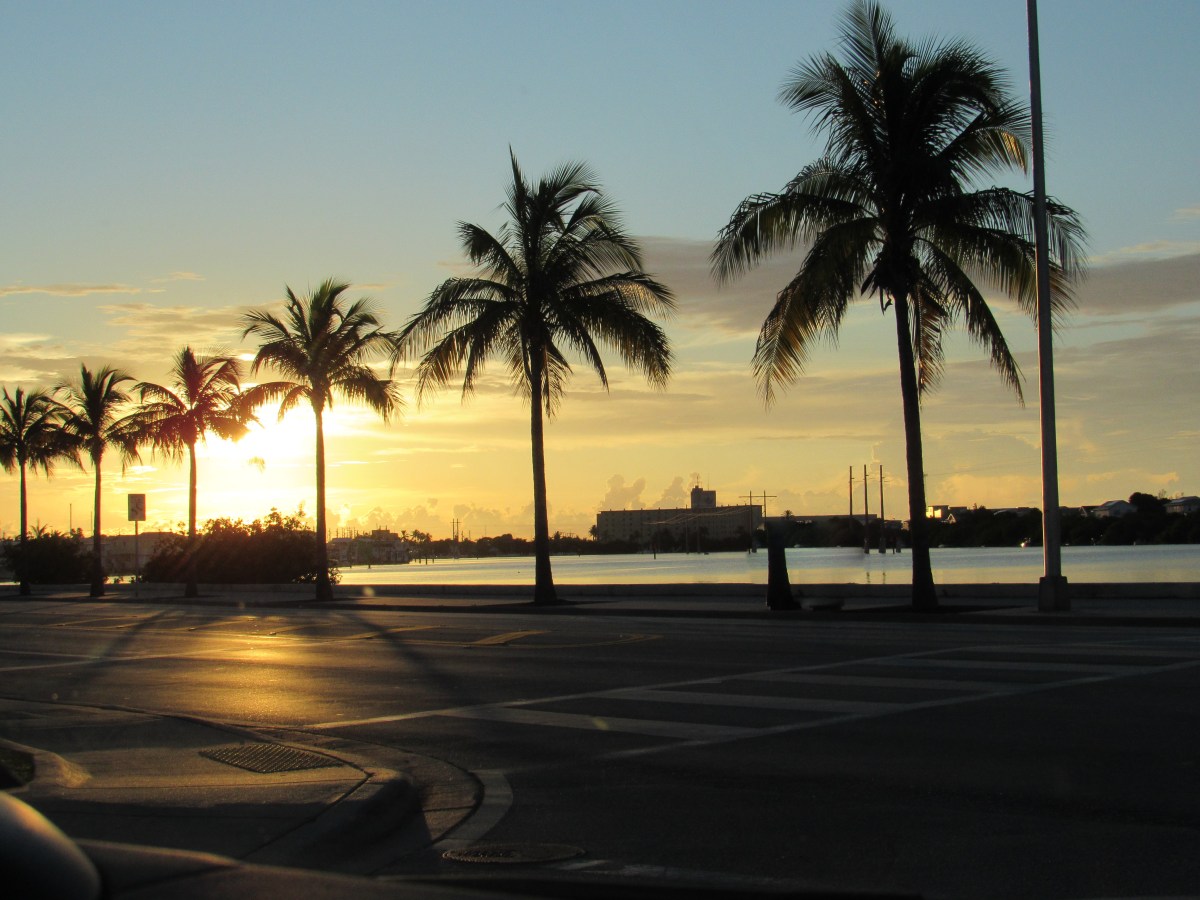 Driving in Key West