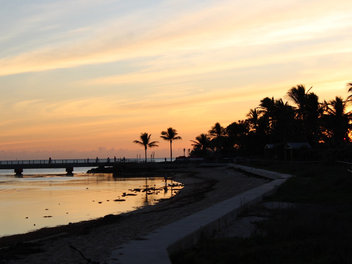 Senior Year Update: Second Semester