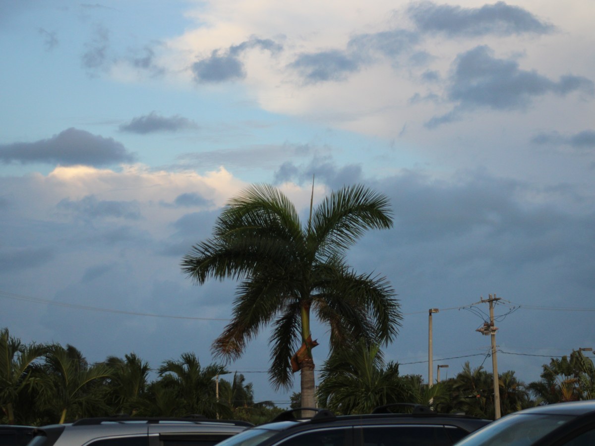 Best Ways to Study (from a High School Senior)